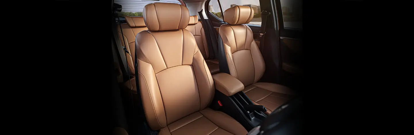 Luxurious Brown & Black Two-Tone Colour Interior