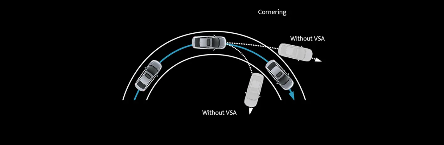 Vehicle stability assist (VSA)