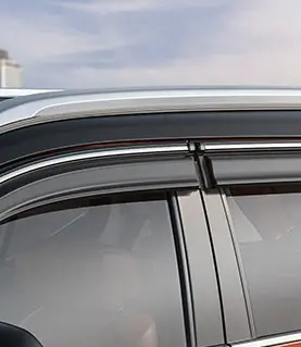 Door Visor with Chrome