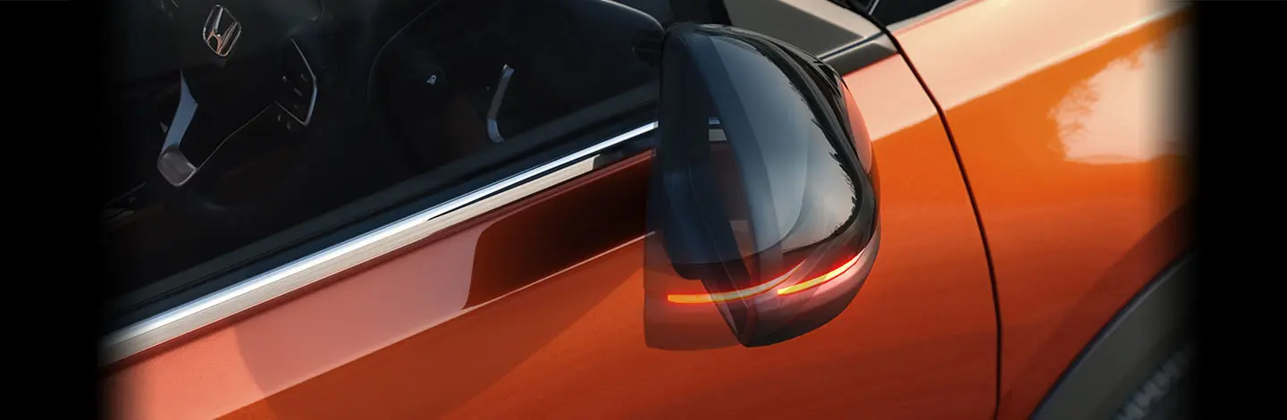 Auto Fold Door Mirror with LED Turn Signal